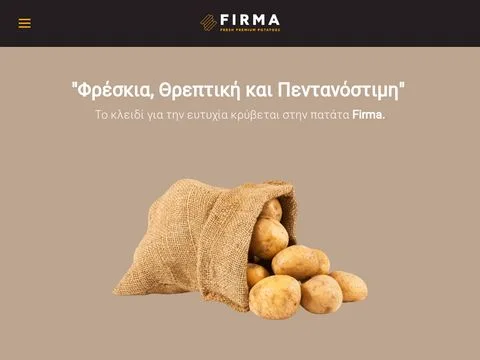 Firma website preview
